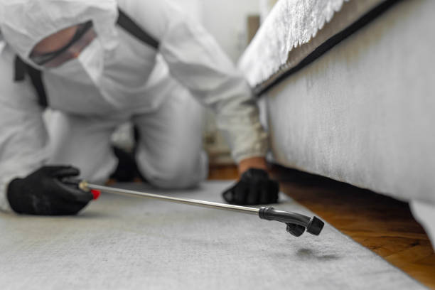 Professional Cockroach Control technician working in Weston Lakes, TX