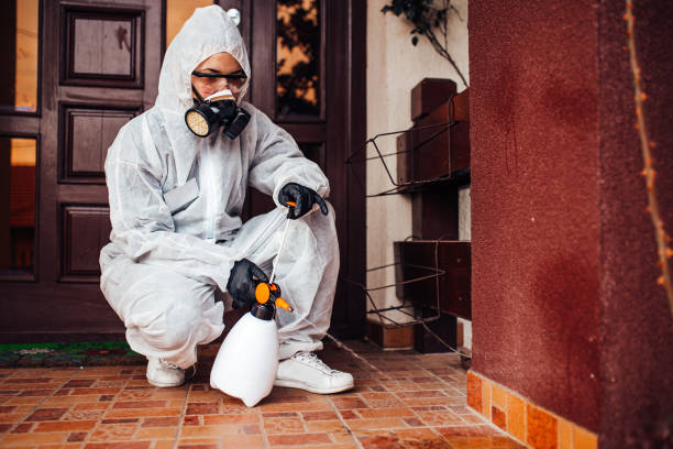 Reliable Cockroach Control contractor in Weston Lakes, TX by Nex Pest Control